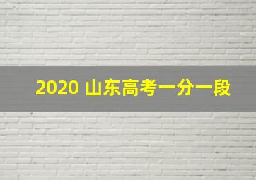 2020 山东高考一分一段